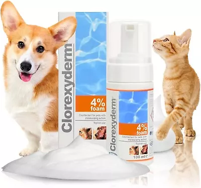 £15.49 • Buy Clorexyderm 4 Foam Mousse Dry Shampoo For Dogs Cats Antibacterial Antifungal Dry
