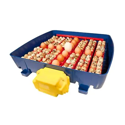 Borotto REAL 49 Incubator (Automatic) (Poultry Hatching Eggs Goose Duck) • £269.99