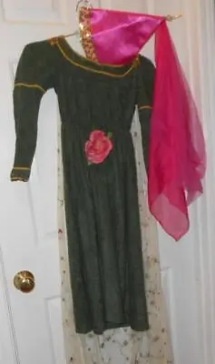 Girls Medieval Princess Costume Dress W Sheer Flower Train & Hat Rubies MED 8-10 • $29.95