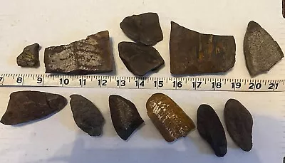 HUGE LOT MAZON CREEK FOSSIL LOT 12 Pieces- Plants Ferns Leaves 309M Years Old • $9.99