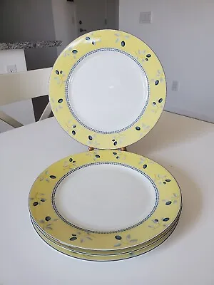 £29.49 • Buy Set Of 4 Royal Doulton Blueberry Pattern Dinner Plates 10.25 Inches