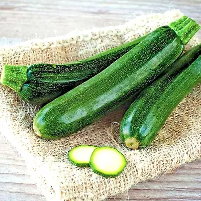 75+ Squash Zucchini Seeds Black Beauty Spring Heirloom Vegetable Garden Non-gmo • $2.99