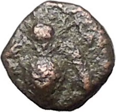 EPESUS Ephesos IONIA 405BC Bee Stag's Head Authentic Ancient Greek Coin I48887 • $80