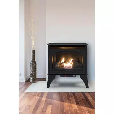 Pleasant Hearth 23.5  Compact 20000-BTU Dual Fuel Gas Stove Vent-Free 700-sq-ft • $523.12