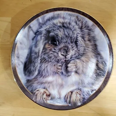 Vivi Crandall Bunny Tales “Quite An Earful” Collector Plate Bradford Exchange • $22.50