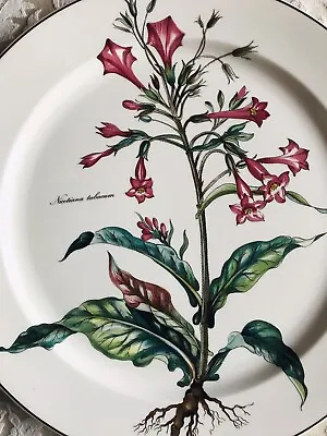 Villeroy & Boch Botanica Porcelain Oversized Dinner Plate 12.5  Luxembourg New • $55