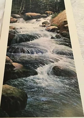 Morten Solberg  Fishing The Falls  Bear Hand Signed  Limited Edition Art Print • $119