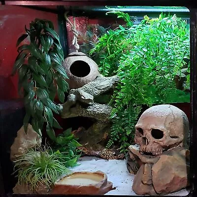 Reptile Habitat Skull Decor Hanging Vine Plants Bearded Dragon Tank Accessories • $25.65