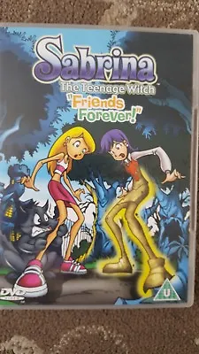 Sabrina The Teenage Witch Friends Forever Dvd Cartoon • £7.99