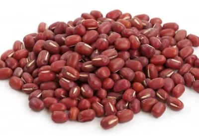 Adzuki Red Bean Seeds |Azuki Aduki Mung Cowpea Edamame Asian Vegetable Seed 2023 • $3.95