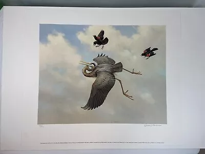 Owen Gromme Great Blue Heron Mobbed By Redwings Signed And Numbered 172/500 • $100