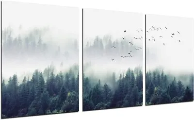 3 Piece Unframed Canvas Wall Art 12x16  - Foggy Forest Of Evergreens With Birds • $14.39