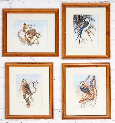 Bird Pictures X 4 Vintage In Oak Framed Birds Of Prey Eagle Kite Harrier Kestrel • £44.99