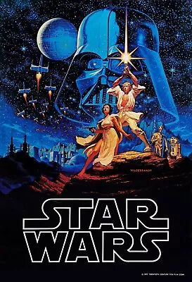 Star Wars: Episode IV - A New Hope Framed Movie Poster | 11x17 13x19 | NEW • $17.99