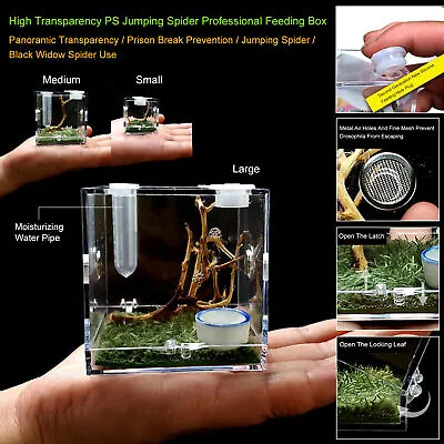 Glass Nano Habitat Small Reptile Vivarium Stackable Spider Insect Tank • $10.29