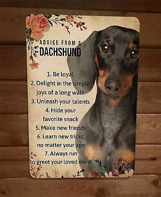 Advice From A Dachshund Dog 8x12 Metal Wall Sign Animal Poster • $19.95