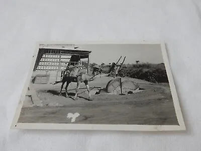 Photograph Of An Egyptian Water Wheel Taken In Cairo  Egypt C1939  21@3 • £9.99