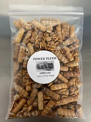 Shiitake Mushroom Plug Spawn 100x • $15