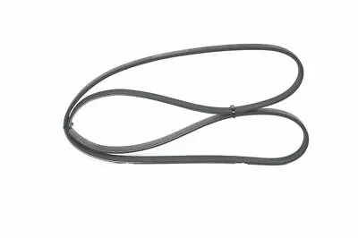 V-Ribbed Belt For FORD:MONDEO V TurnierMONDEO V SaloonFUSION V SaloonS-MAX • $33.59