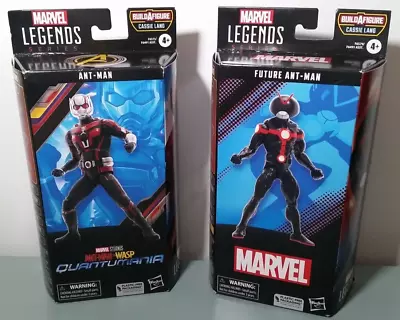 Marvel Legends Ant-Man And Future Ant-Man 2 Figures NEW • $36.98
