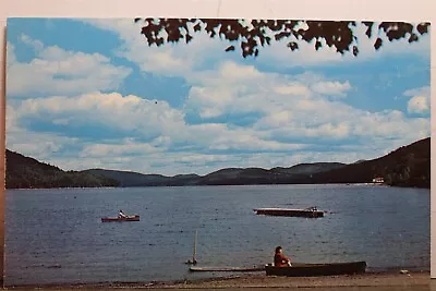 New York NY Adirondack Mountains Schroon Lake Postcard Old Vintage Card View PC • $0.50