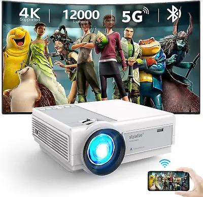 $221.86 • Buy Mini Projector With Wifi And Bluetooth, Portable 12000 Lumens Native 1080P Proje