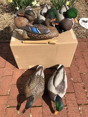 Avian X Top Flight Mallard Decoys - Preener/Feeder Combo • $70