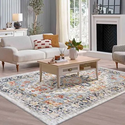 Traditional Area Soft Rugs Anti-slip Washable Rug Multi-color For Living Room • $38.99