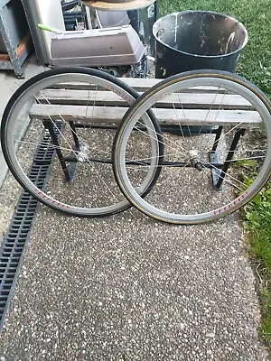 Velocity Spartacus 700c Bike Wheels • $100