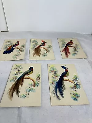 Vintage Mexican Folkart Painted Birds Feathers Set Of 5. Mexico • $15.99