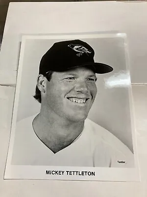 Vintage 1980s Mickey Tettleton Baltimore Orioles Tadder Team Issue Photo 8 X 10 • $9.99