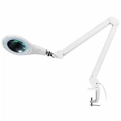 LED Magnifying Glass Desk Lamp W/ Swivel Arm & Clamp 2.25x Magnification White • $39.99