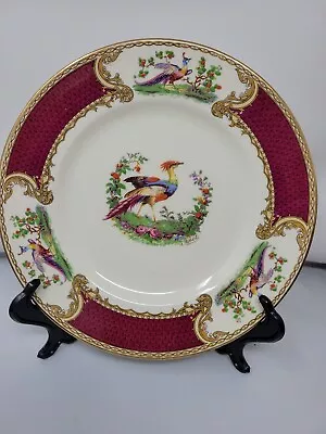 Myott Staffordshire England Porcelain Chelsea Bird 9  Dinner Plate  • $30