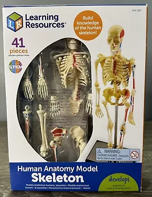SEALED Learning Resources Human Anatomy Skeleton STEM Kit Miniature Model • $24.99
