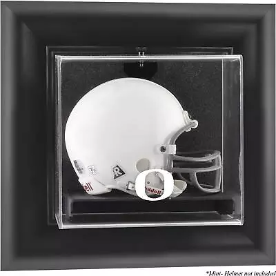 Ducks Black Framed Wall-Mountable Mini Helmet Display Case • $79.99