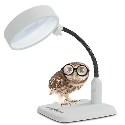 Jollycaper - Magnifying Lamp With Light And Stand 8x - Large Magnification • $29.99