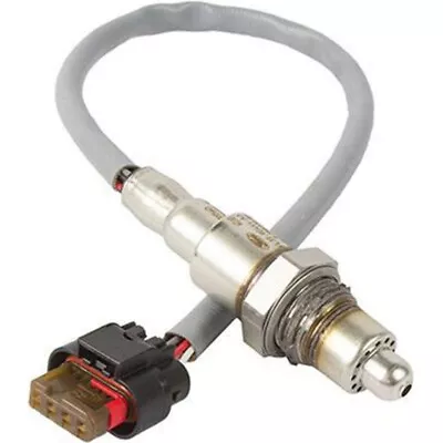 DY-1295 Motorcraft O2 Oxygen Sensor DOWNSTREAM For F150 Truck Ford F-150 Mustang • $49.69