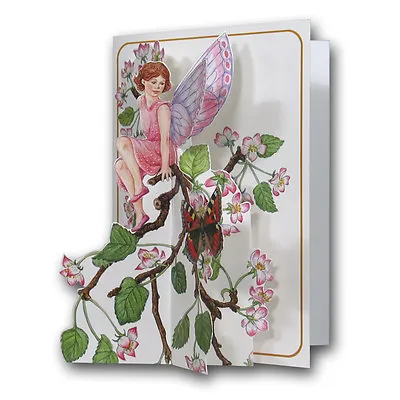 Pictoria Press 3D Pop Up Greeting Card Fairy Fairies Any Occassion Birthday • £3.25