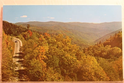 $0.50 • Buy Great Smoky Mountains National Park US 441 Oconaluftee River Valley Postcard Old