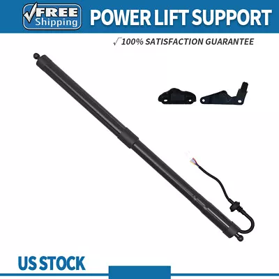 Rear Right Tailgate Power Hatch Lift Support Strut For 14 - 19 Toyota Highlander • $80