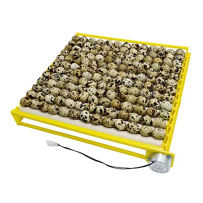 Egg Incubator Tray 360° Rotary Automatic Egg Heater Duck Quail 13 Tubes • £24.70