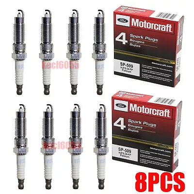 8pcs Motorcraft SP-509 Double Platinum Spark Plugs HJFS-24FP For Ford Super Duty • $27.99