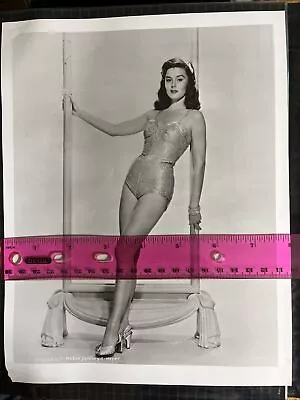MGM Rare PUBLICITY PHOTO Laine Stewart SEXY CHEESECAKE BATHING SUIT 8x10 POSE • $85