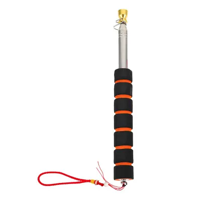 £8.81 • Buy Extendable Flag Pole Hand Held Flagpole Stand Portable White Board Baton