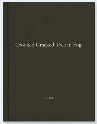 Todd Hido - Crooked Cracked Tree In Fog -One Picture Book #60 Nazraeli Press OPB • $129.99