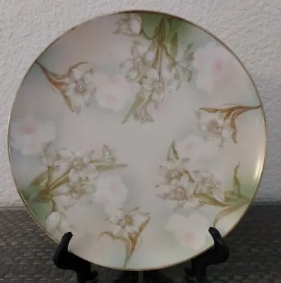 M Z Austria Hand Painted Porcelain Plate White Flowers 8.5  Vintage • $14.99