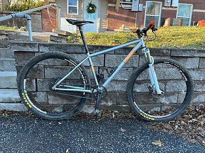 Raleigh XXiX Belt Drive SS Size M With Hope Wheelset • $1200