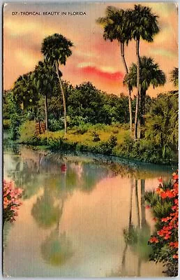 Miami Florida FL 1940 Tropical Beauty Lake View Water Reflection Postcard • $8.05