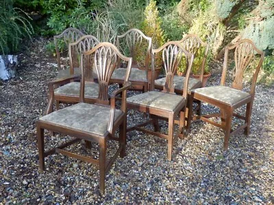 £345 • Buy Antique Dining Chairs, Set Of 7 (6 + 1). Georgian. New Upholstery.