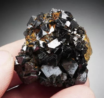 MAGNETITE Nice Crystals Cluster - MOROCCO /bl897 • $24.90